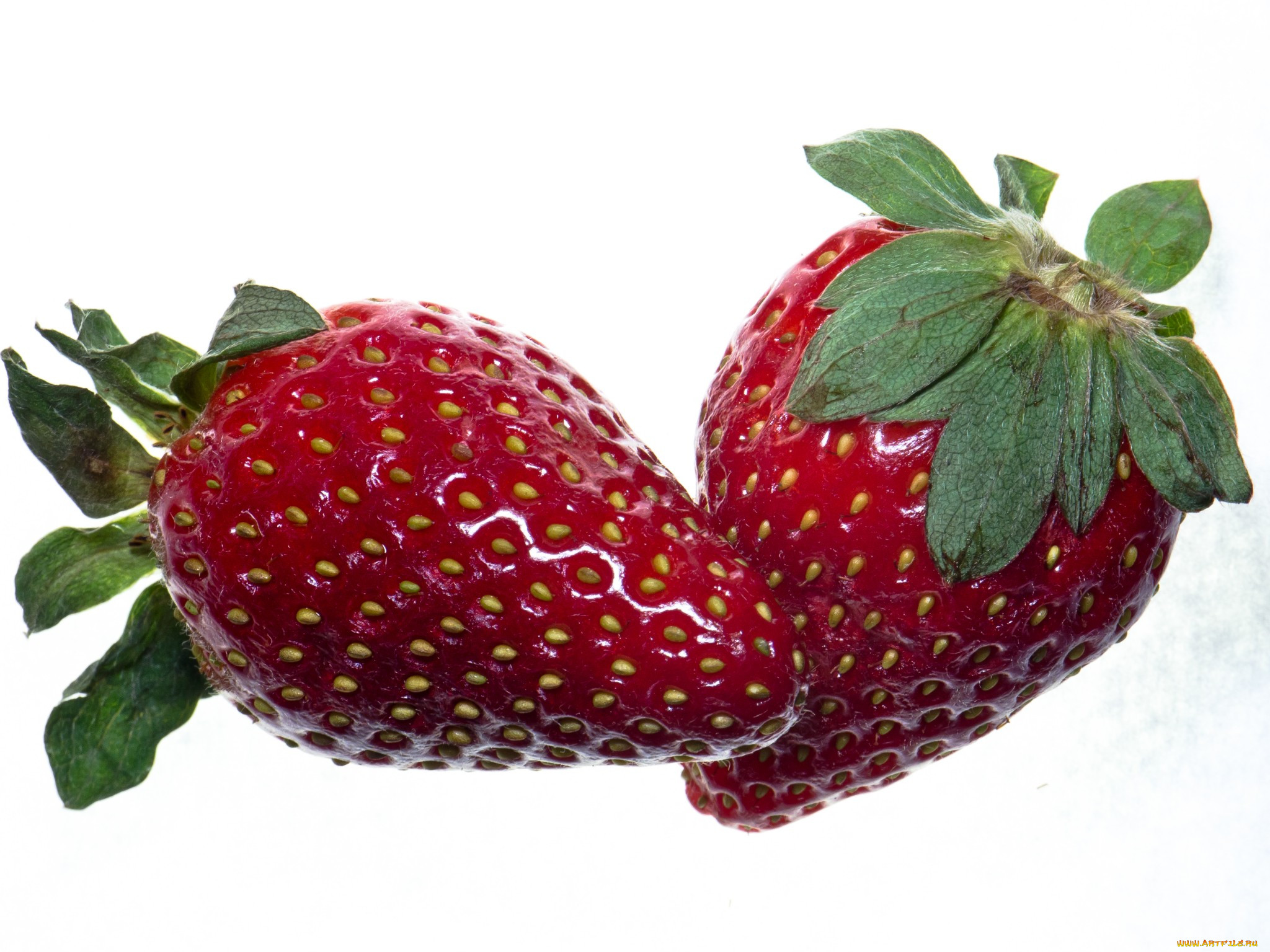 , ,  , 